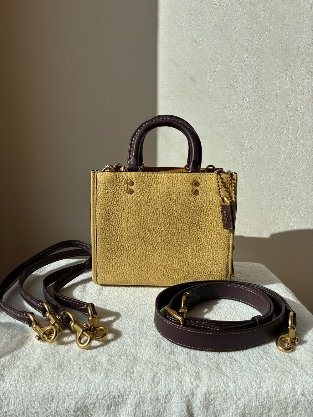 Coach Rogue 20 in Hay Multi CH586